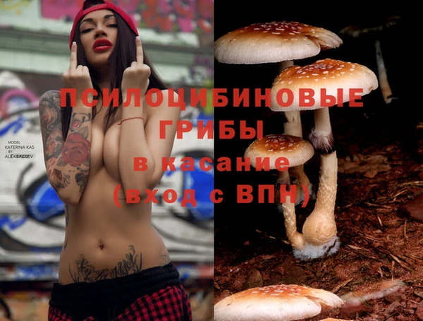 ECSTASY Баксан