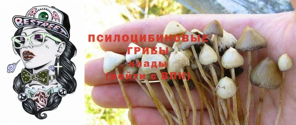 ECSTASY Баксан