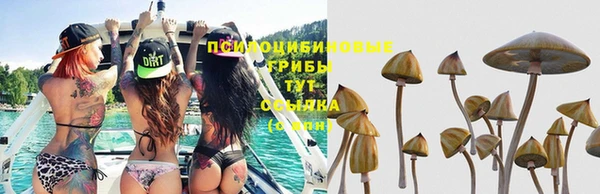 ECSTASY Баксан