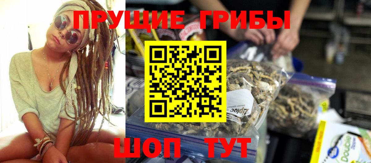 Галлюциногенные грибы Psilocybe Пятигорск